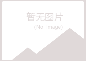 重庆紫山美容有限公司